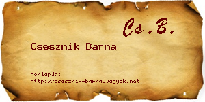 Csesznik Barna névjegykártya