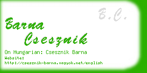 barna csesznik business card